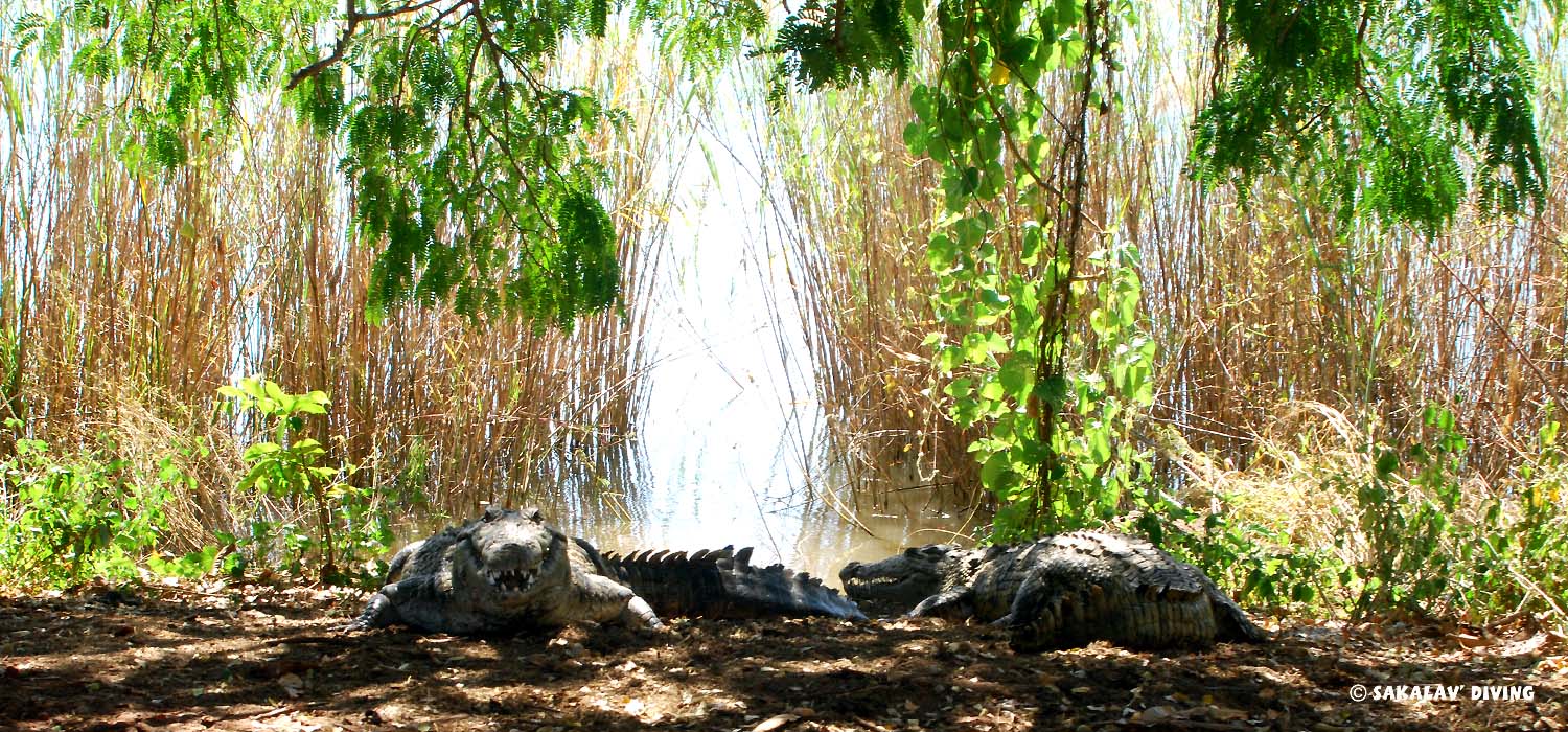 excursions Anivorano Madagascar
